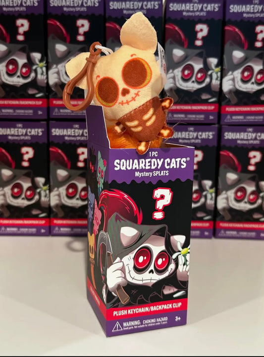 Squaredycats mystery box